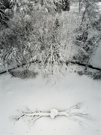 Bracciale Radice comune