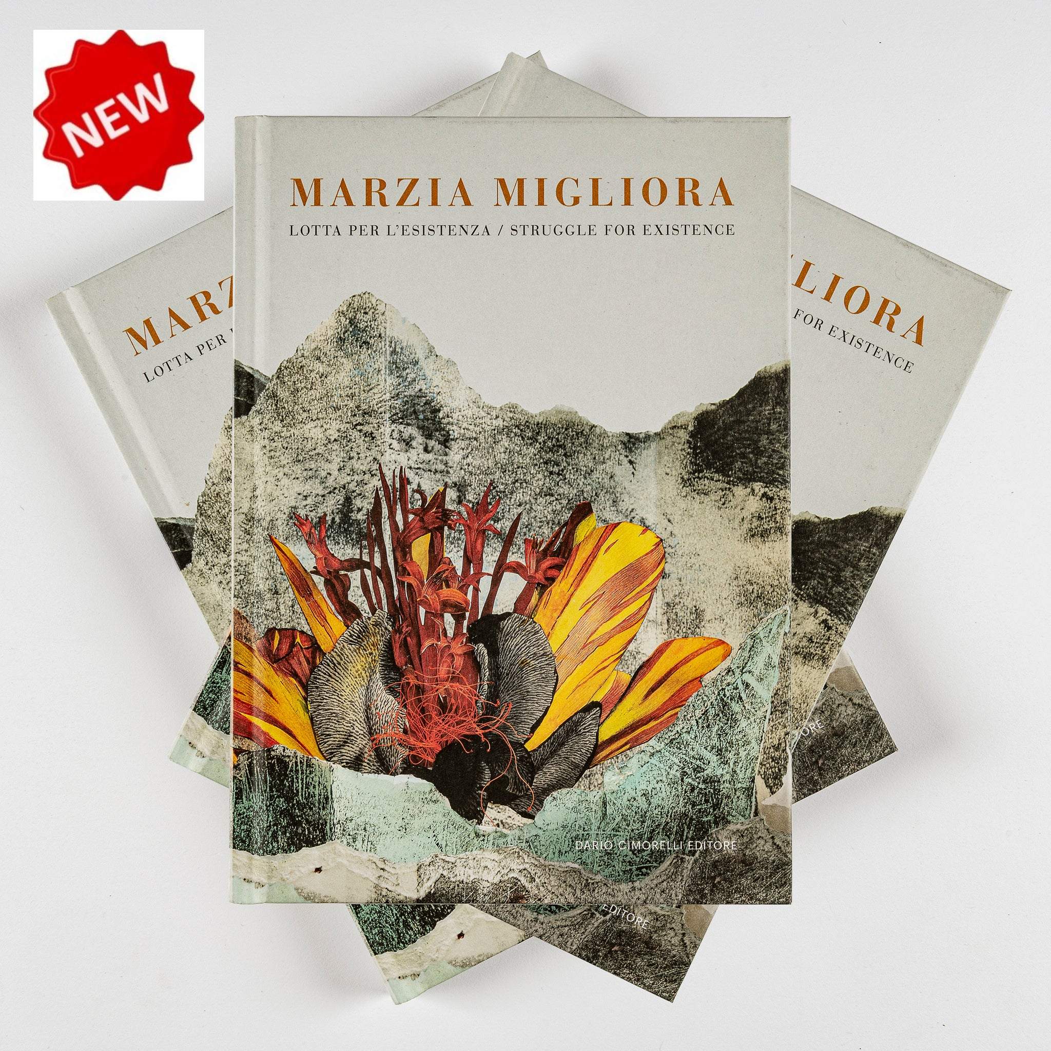 mdp4554_2048x2048-bollino-novit